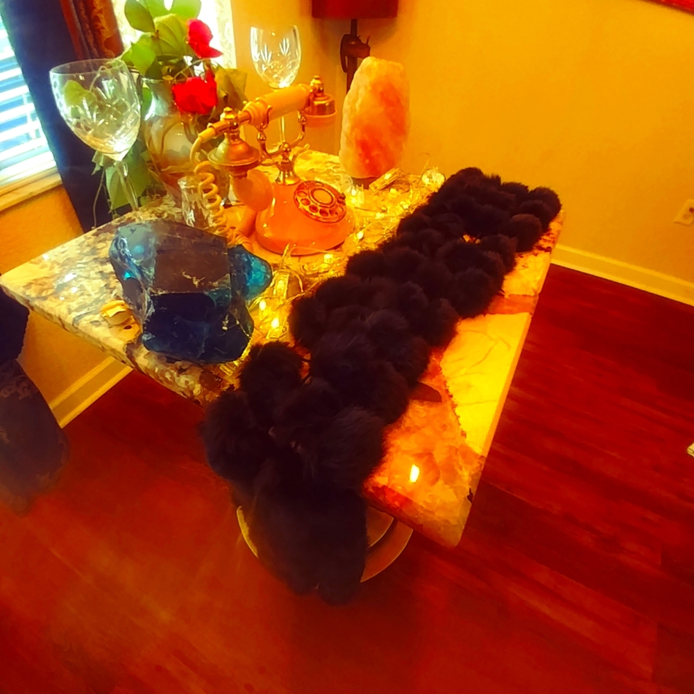 Cejon Italian 100 % Rabbit fur Scarf. Hand Made